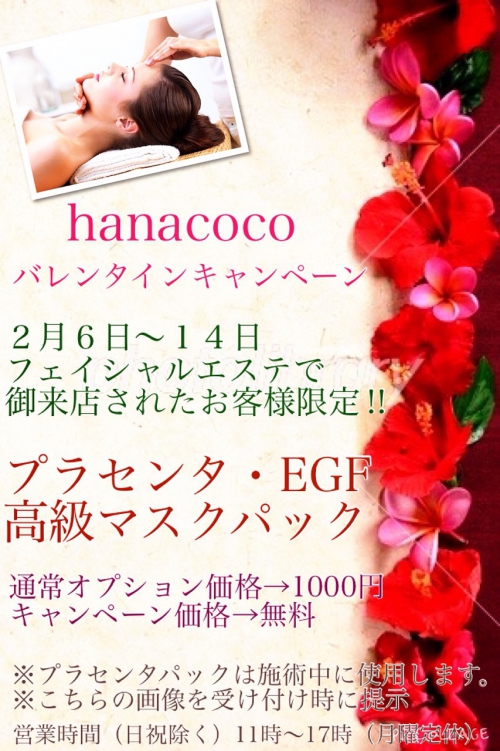 バレンタインキャンペーン hanaCoco