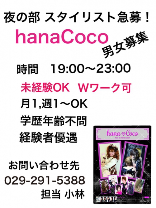 スタッフ募集