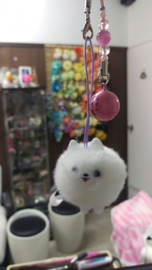 ポメラニアン？？？